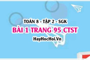 Bài 1 trang 95 Toán 8 Tập 2 Chân trời sáng tạo